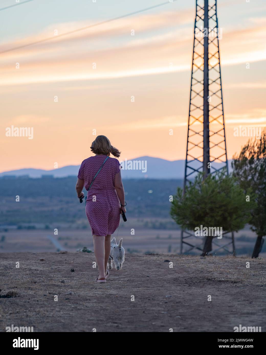 Ragazza giovane che cammina il suo cane in natura al tramonto Foto Stock