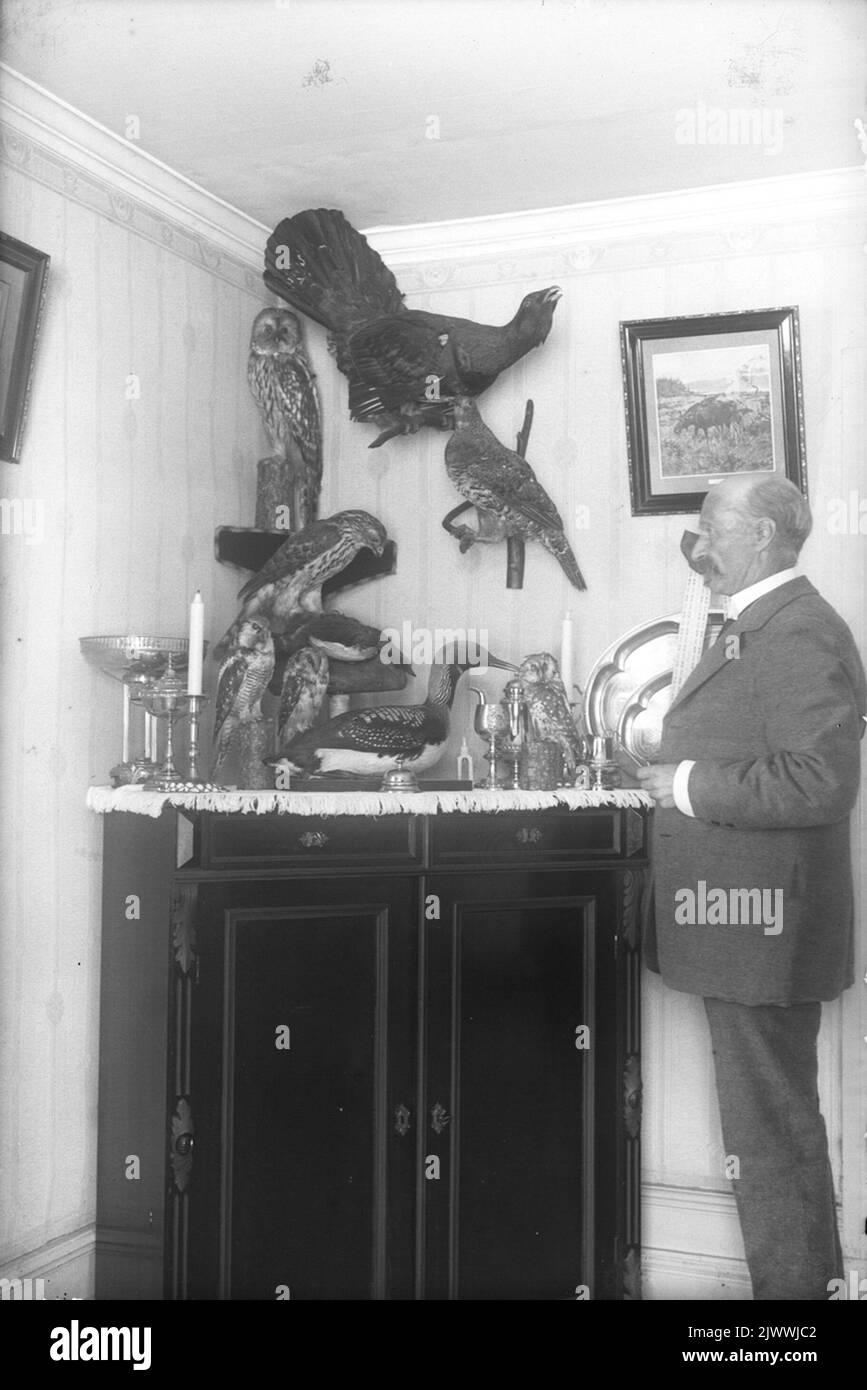 Nonno a Källsjön con uccelli farciti. Foto più vecchia. Farfar i Källsjön med uppstoppade fåglar. Äldre foto. Foto Stock