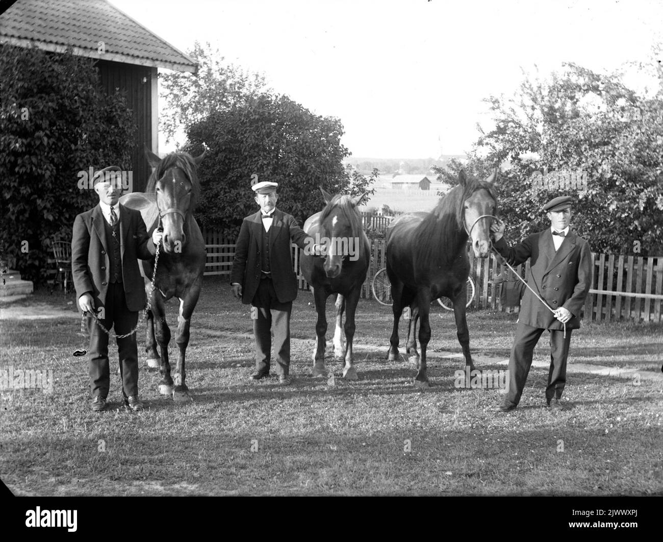 Uomini con cavalli, Hagsta. Da sinistra: Josef Berglund, Jöns Berglund ed Erik Berglund. Män med ridhästar, Hagsta. från vänster: Josef Berglund, Jöns Berglund och Erik Berglund. Foto Stock