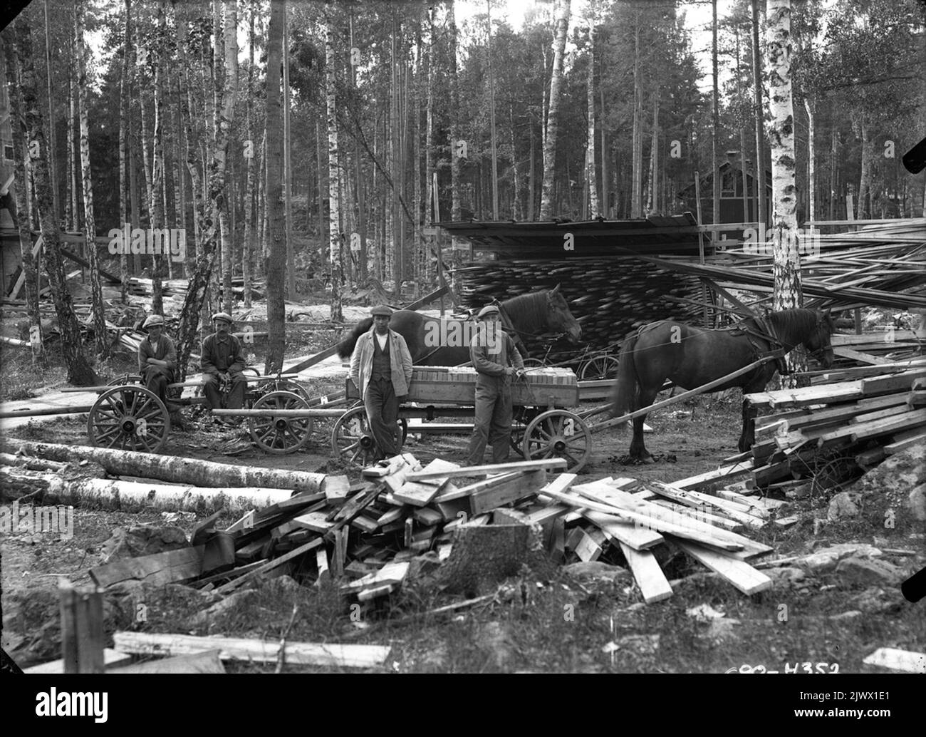 Guida di legname, quattro uomini e due cavalli. Timmerkörning, fyra män och två hästar. Foto Stock