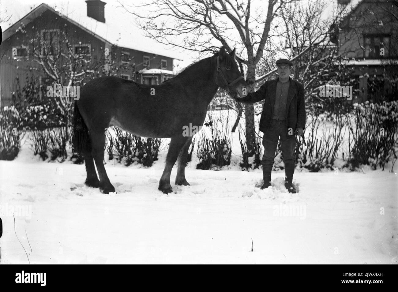 Uomo a cavallo. Uomo med häst. Foto Stock