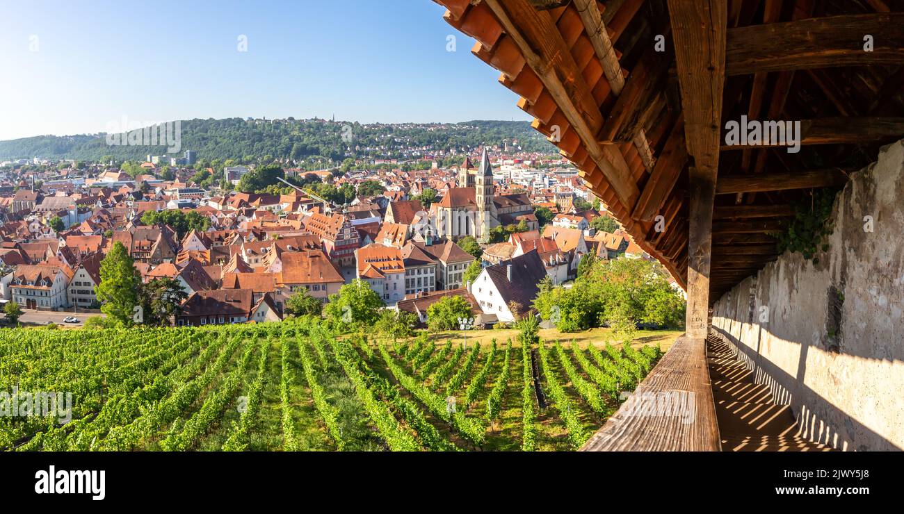 Vista sulla città di Esslingen con antico municipio e chiesa viaggiare panorama in Germania Foto Stock