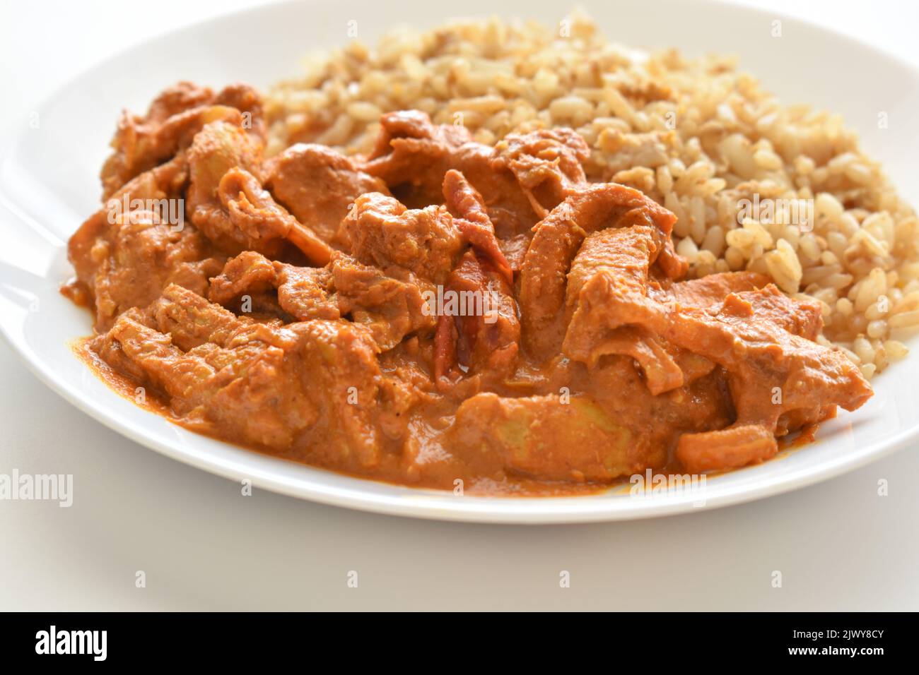 Curry di pollo indiano con riso fritto all'uovo su un piatto bianco. Foto Stock