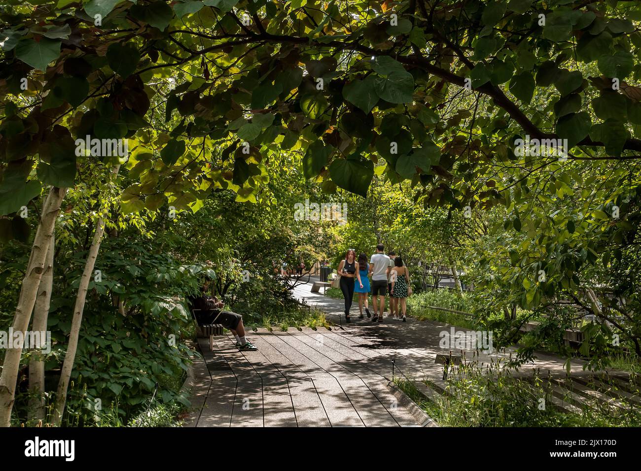 La gente cammina lungo il Chelsea Highline Park a Manhattan, New York City, USA Foto Stock