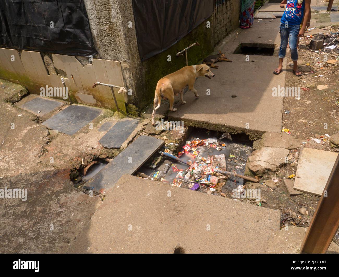 Mumbai, Maharashtra / India – 2 marzo 2020 : linea fognaria aperta nella zona di slum di Mumbai, India. Foto Stock