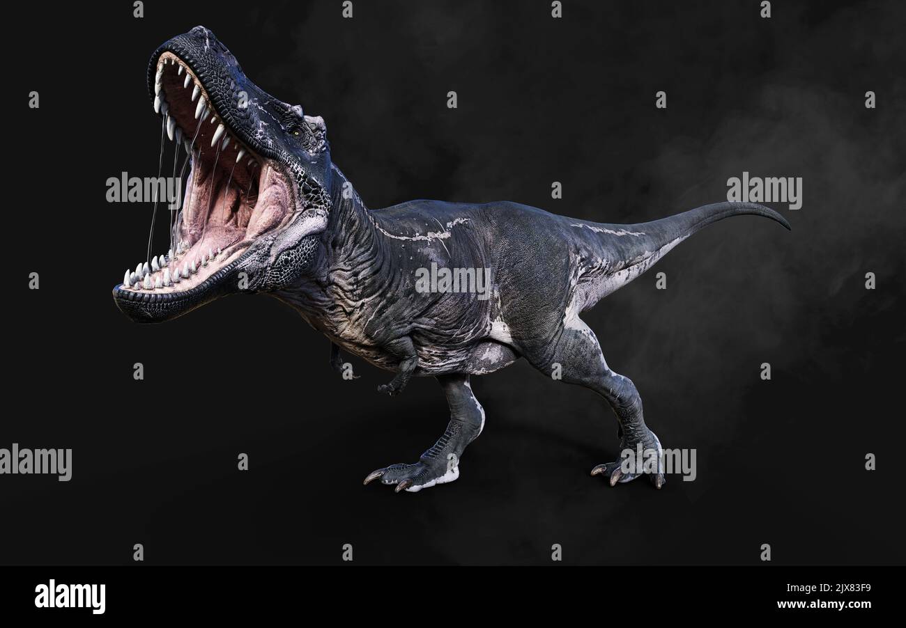 3D Illustrazione di Tyrannosaurus Rex pericoloso atti e pose isolato su sfondo nero con Clipping Path Foto Stock