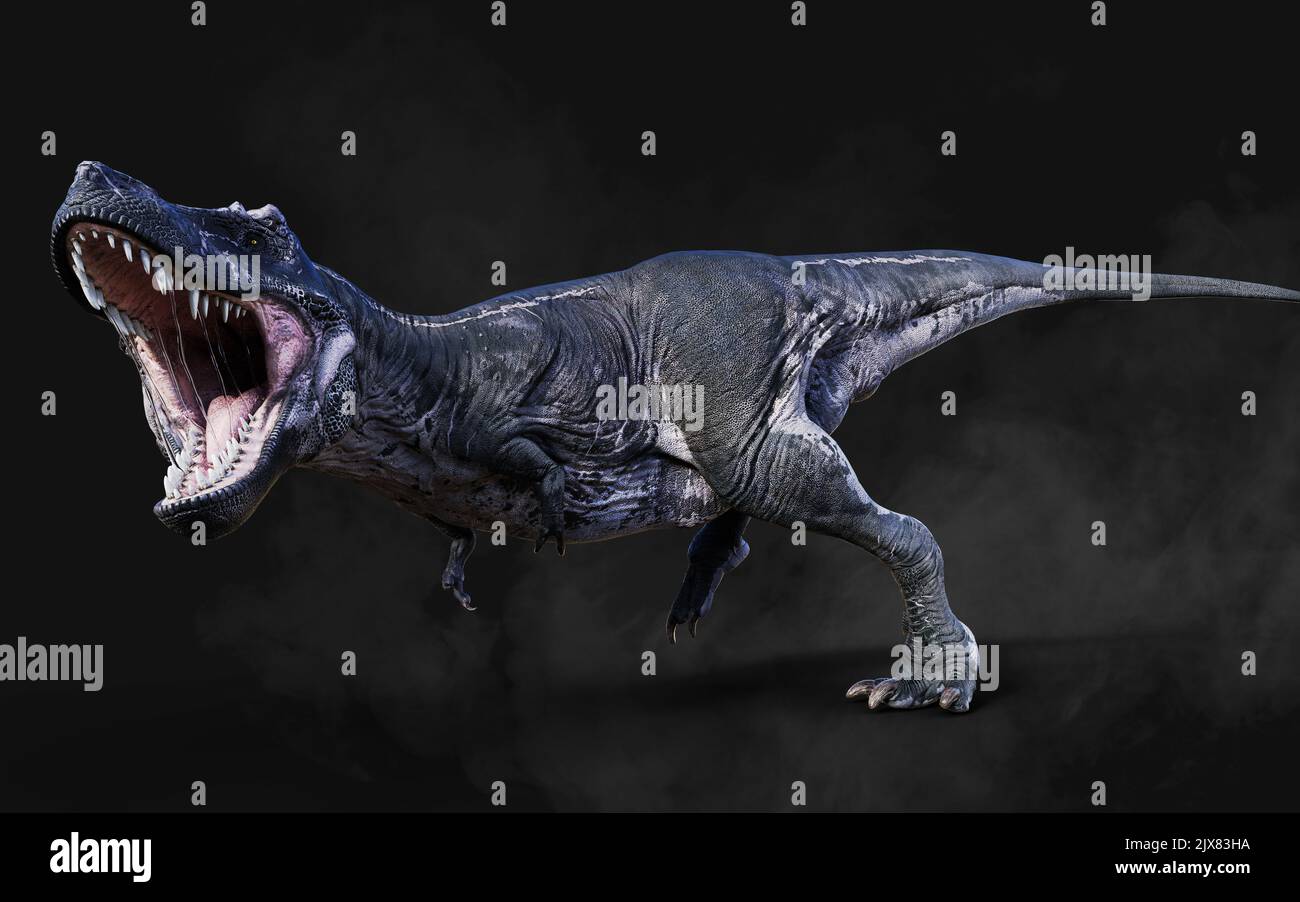 3D Illustrazione di Tyrannosaurus Rex pericoloso atti e pose isolato su sfondo nero con Clipping Path Foto Stock