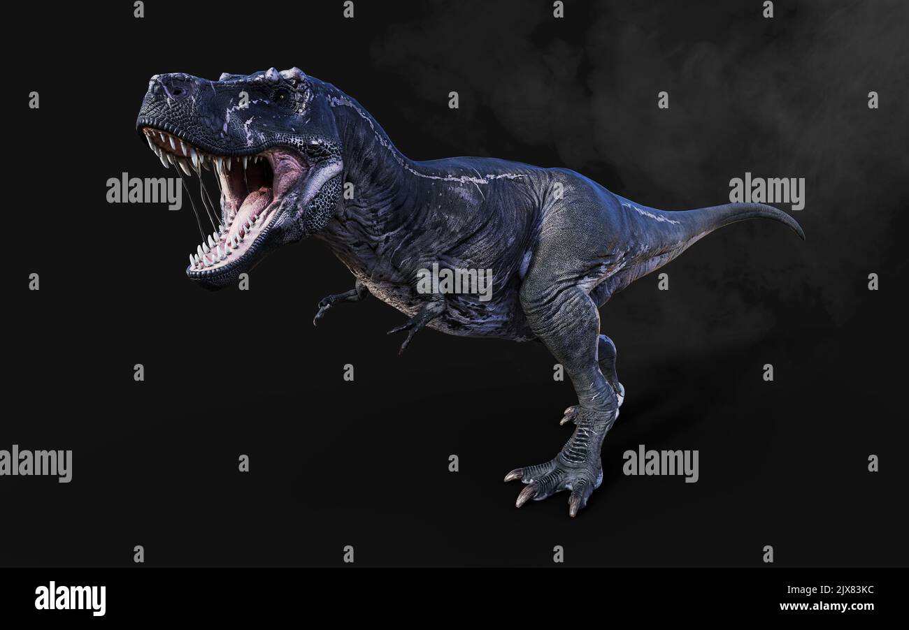 3D Illustrazione di Tyrannosaurus Rex pericoloso atti e pose isolato su sfondo nero con Clipping Path Foto Stock
