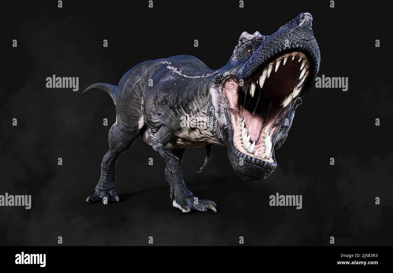 3D Illustrazione di Tyrannosaurus Rex pericoloso atti e pose isolato su sfondo nero con Clipping Path Foto Stock