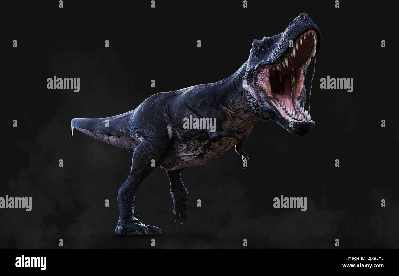 3D Illustrazione di Tyrannosaurus Rex pericoloso atti e pose isolato su sfondo nero con Clipping Path Foto Stock