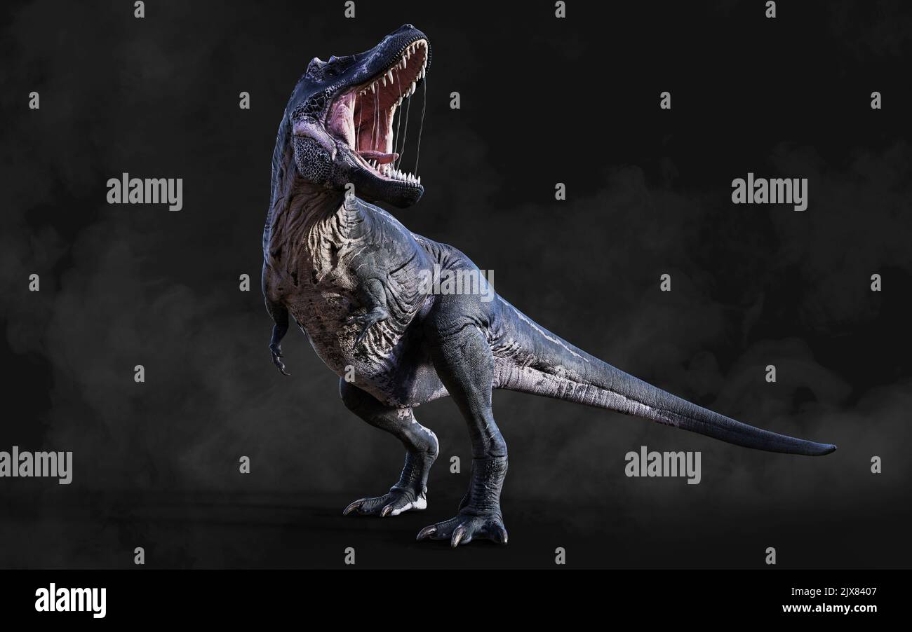 3D Illustrazione di Tyrannosaurus Rex pericoloso atti e pose isolato su sfondo nero con Clipping Path Foto Stock