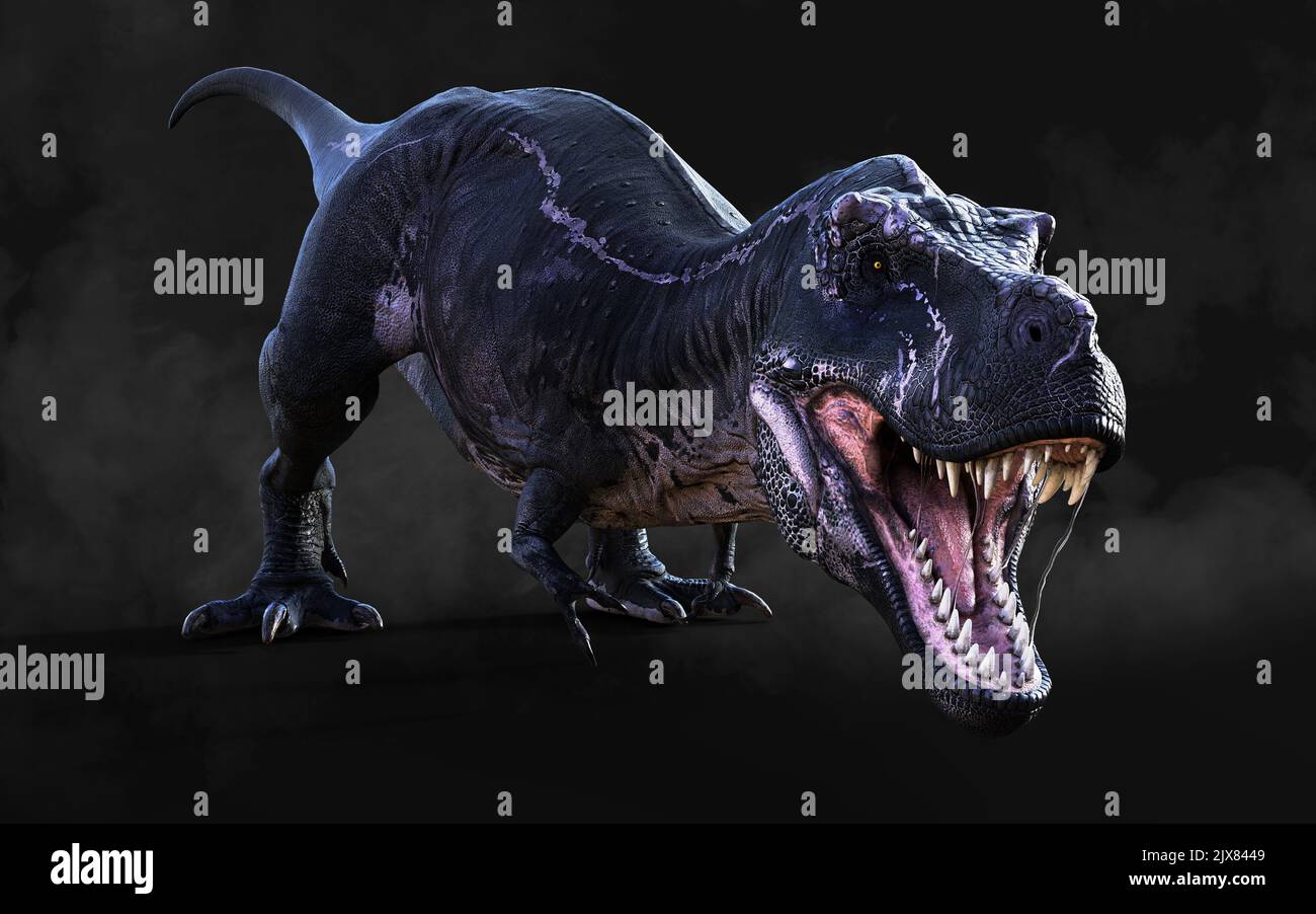 3D Illustrazione di Tyrannosaurus Rex pericoloso atti e pose isolato su sfondo nero con Clipping Path Foto Stock
