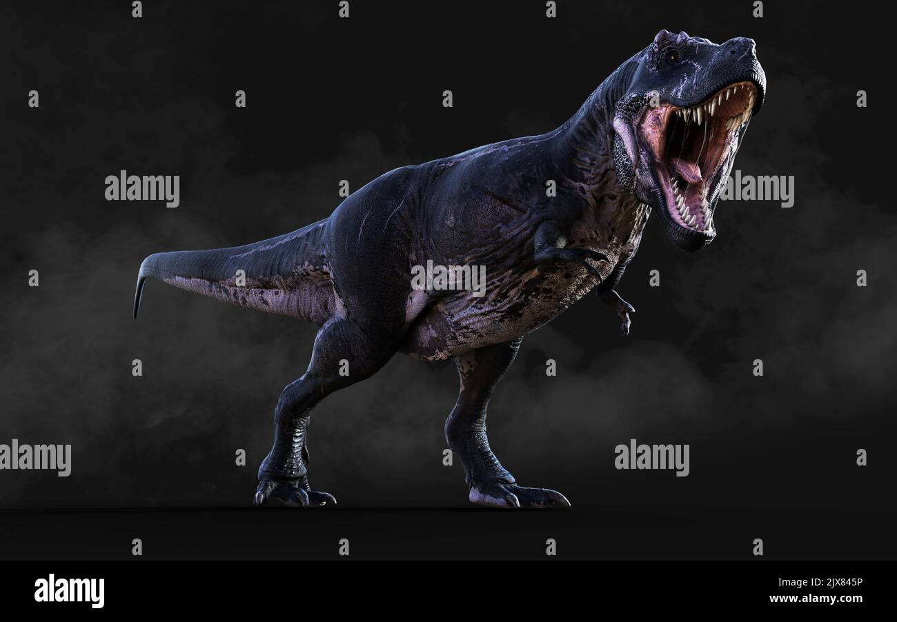 3D Illustrazione di Tyrannosaurus Rex pericoloso atti e pose isolato su sfondo nero con Clipping Path Foto Stock