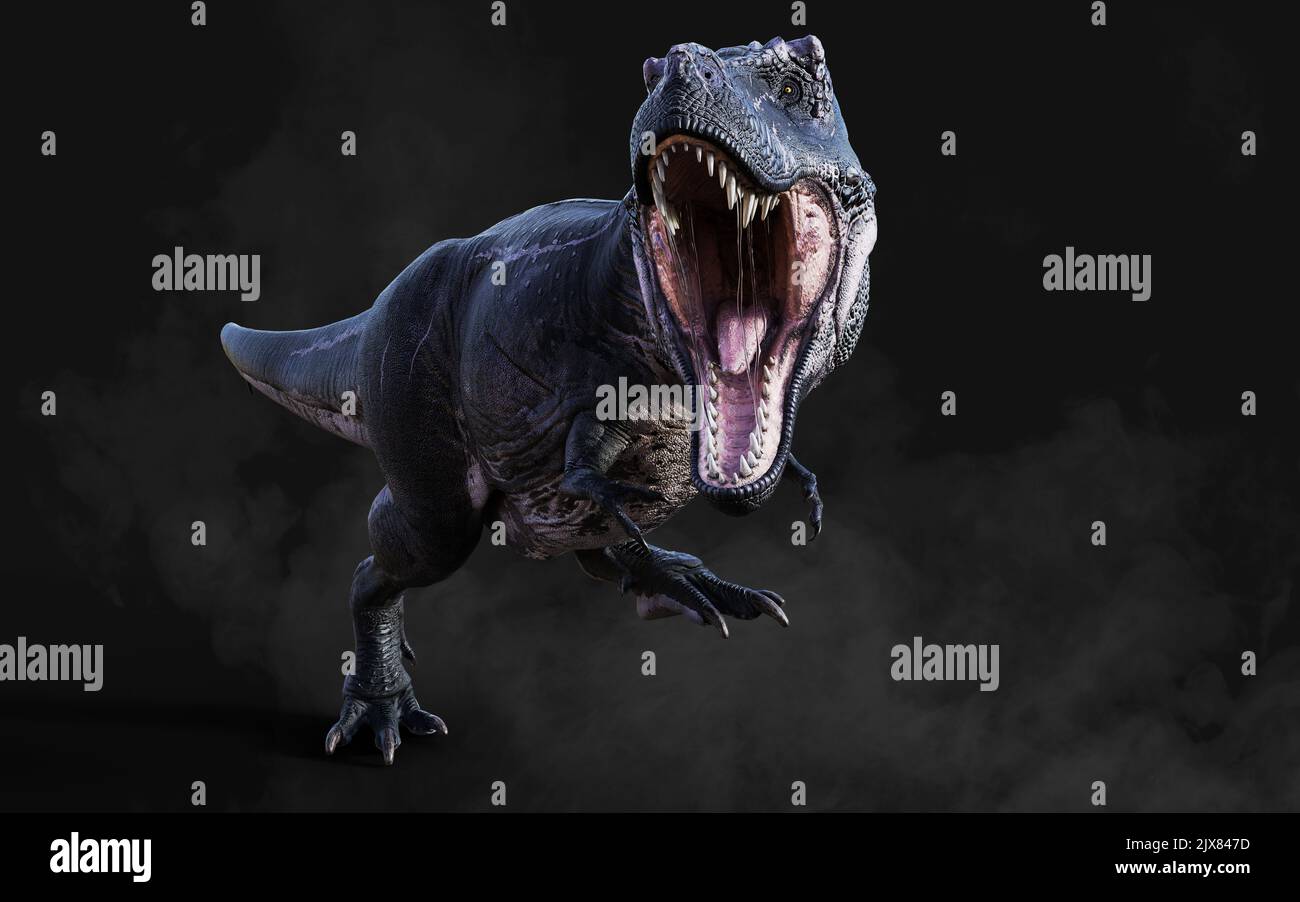 3D Illustrazione di Tyrannosaurus Rex pericoloso atti e pose isolato su sfondo nero con Clipping Path Foto Stock