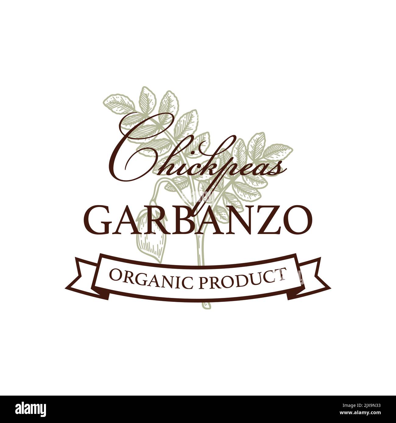 Modello con logo di ceci vintage disegnati a mano. Illustrazione vettoriale nello stile di schizzo. Design botanico isolato su bianco Illustrazione Vettoriale