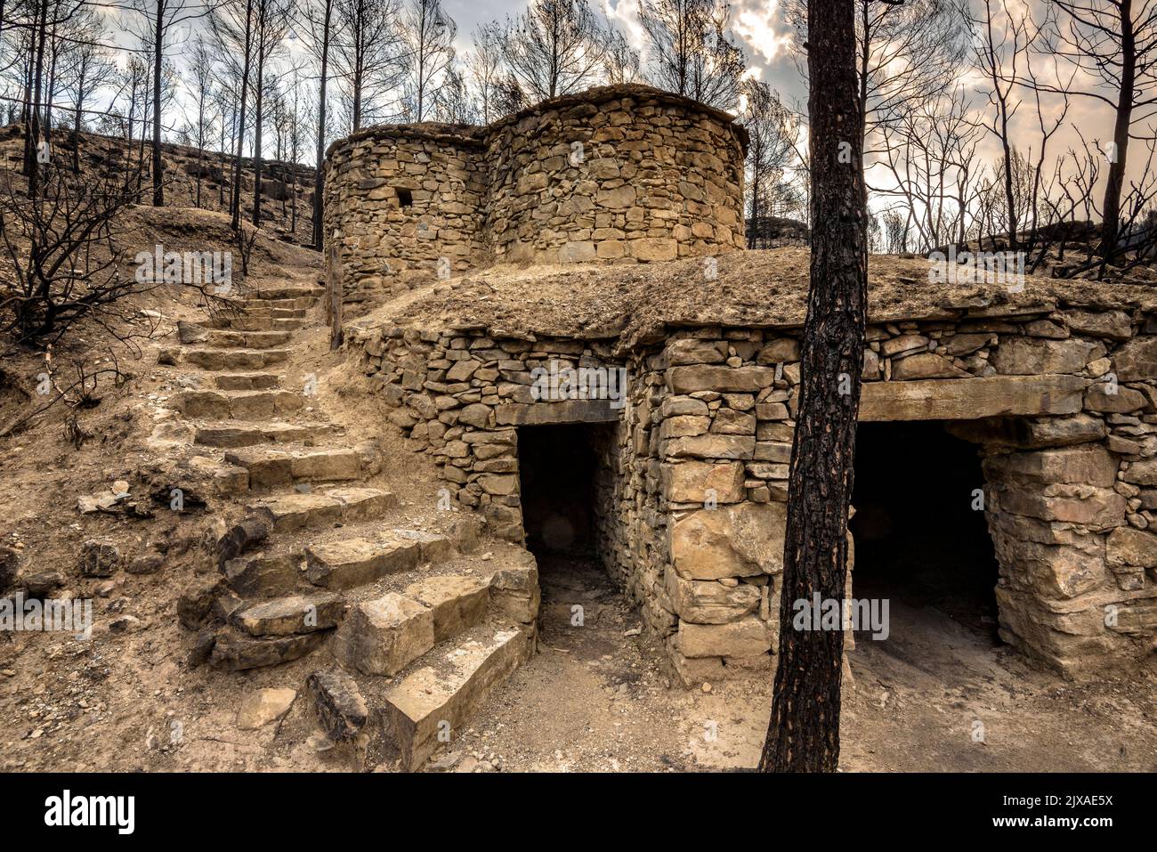 Vasche (tine in catalano) e la valle Flequer dopo il 2022 Pont de Vilomara fuoco nel Parco Naturale di Sant Llorenc del Munt i l'Obac Catalonia Spagna Foto Stock