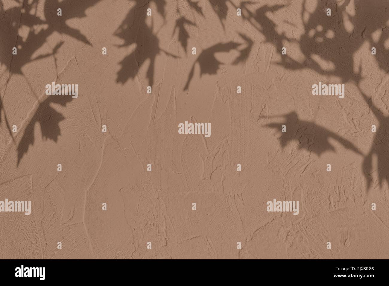 Ombra di foglie su sfondo marrone struttura parete cemento Foto Stock