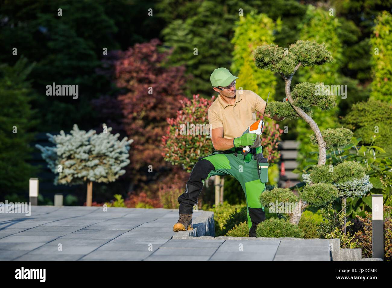 Paesaggio caucasico giardiniere che forma giardino albero ornamentale con trimmer a mano. Giardinaggio e architettura paesaggistica Strumenti e attrezzature professionali Foto Stock