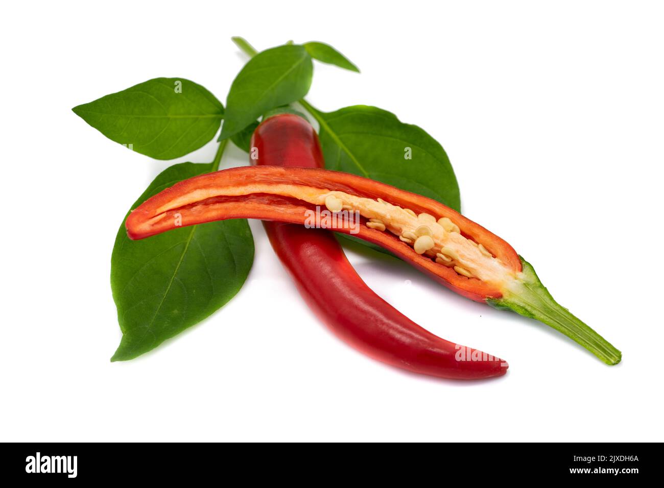 Chili isolato su sfondo bianco Foto Stock