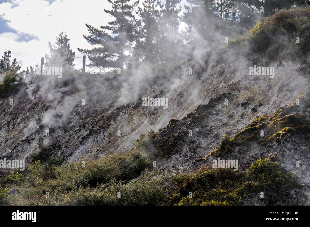 Il vapore si stira da alcune delle sorgenti termali della valle termale naturale di Wairakei, che si trova all'uscita della Thermal Explorer Highway (autostrada statale 5) Foto Stock