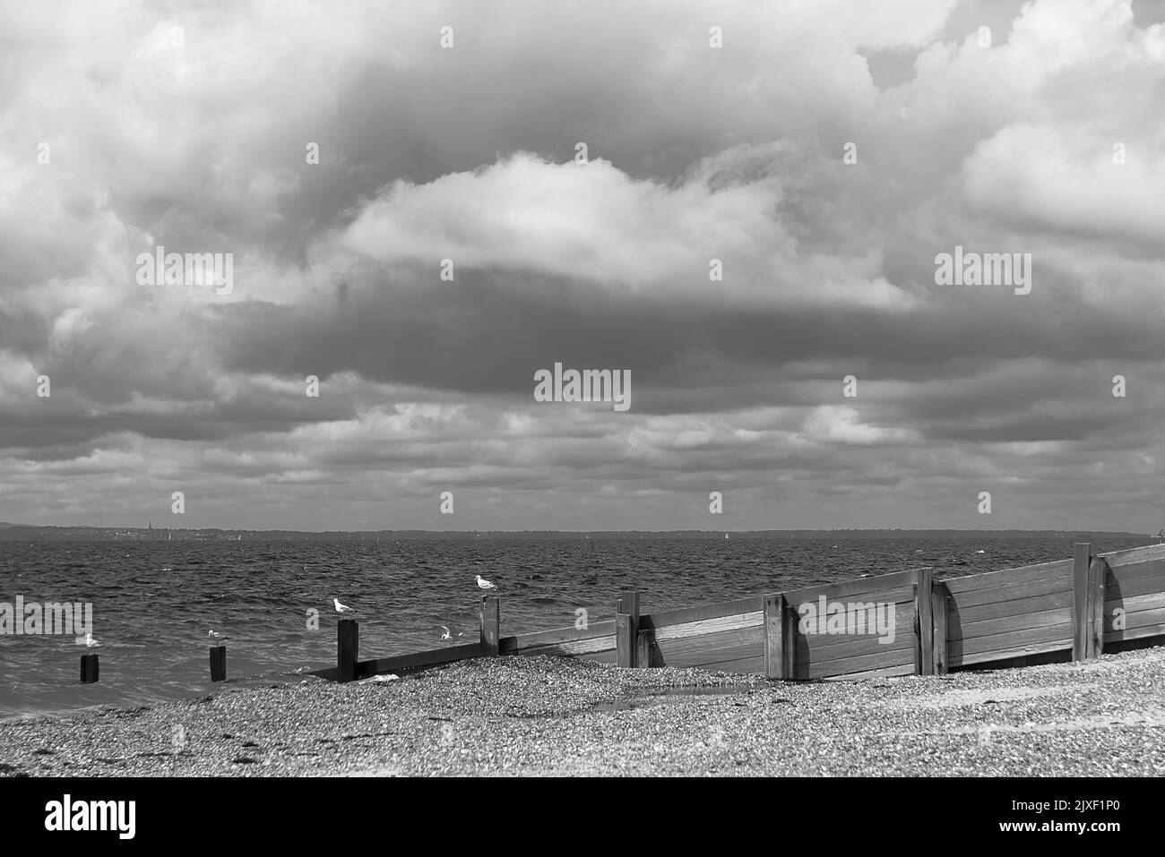 Immagini di spiaggia in bianco e nero Foto Stock