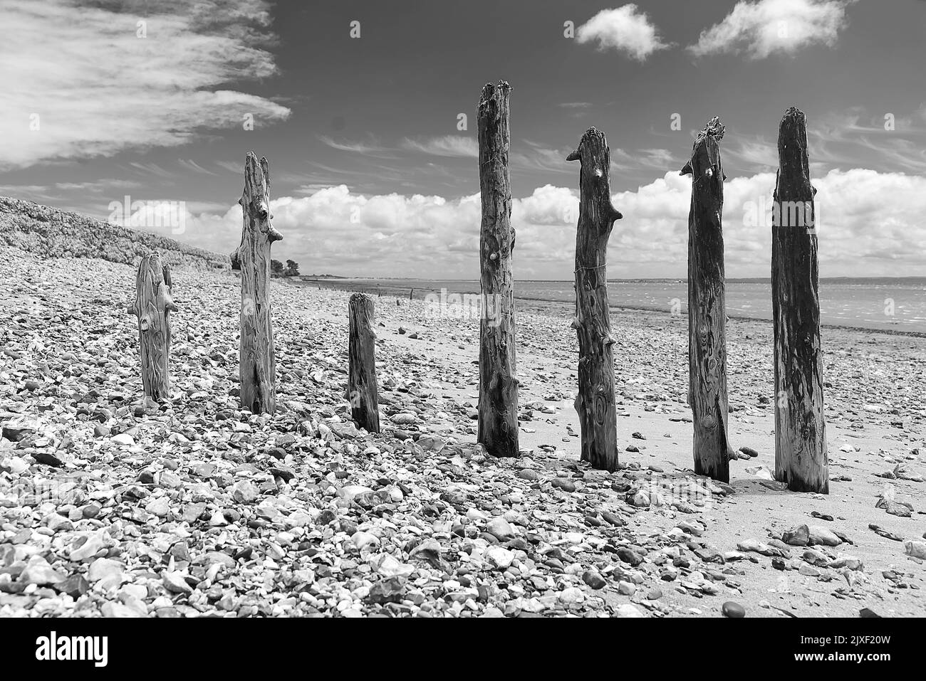 Immagini di spiaggia in bianco e nero Foto Stock