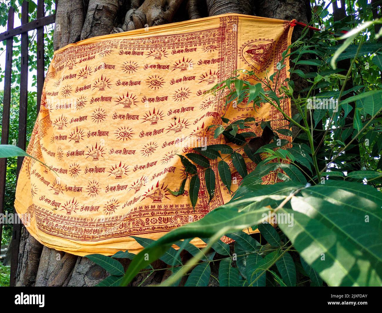 Giugno 24th 2021 Dehradun India. Un panno sacro legato intorno ad un albero Bodhi o Peepal in un tempio. Traduzione in inglese del testo scritto' o salutations to Foto Stock