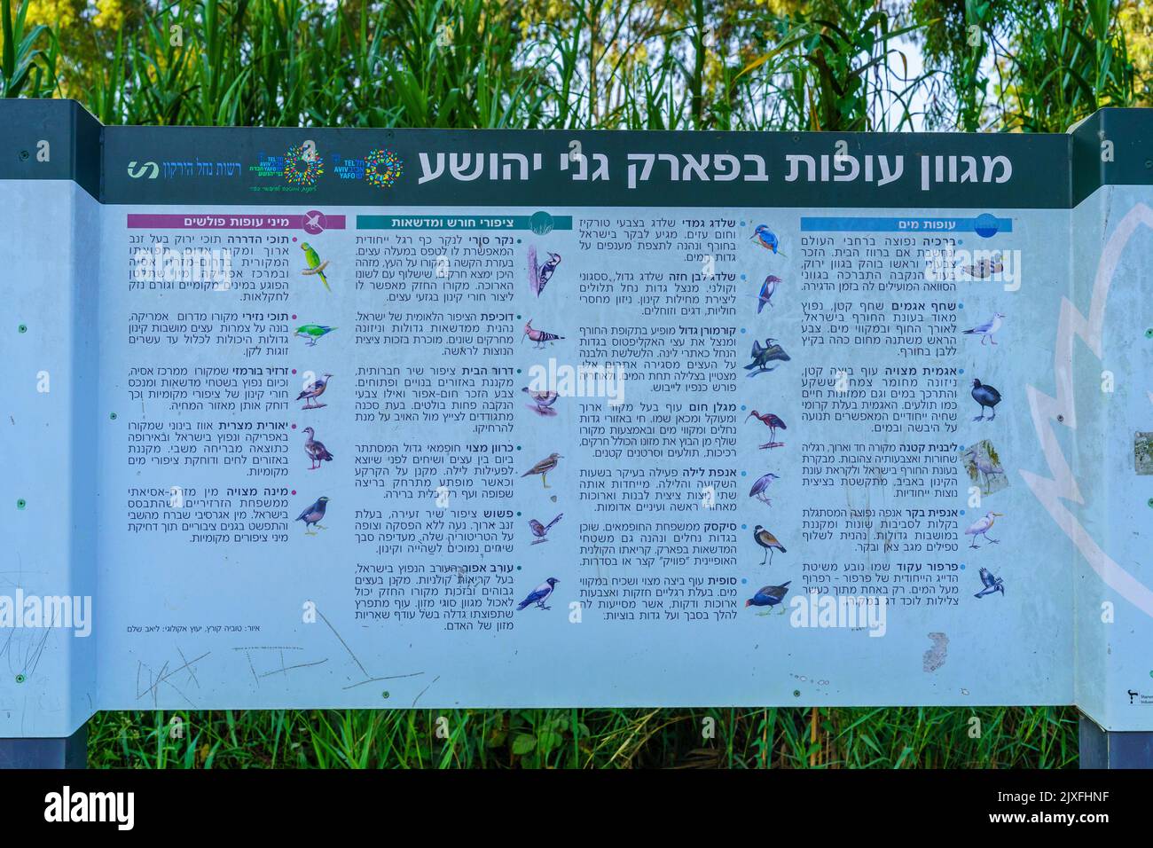 Tel-Aviv, Israele - 17 giugno 2022: Vista della natura spiegazione segni, nel Parco di Yarkon, Tel-Aviv, Israele Foto Stock