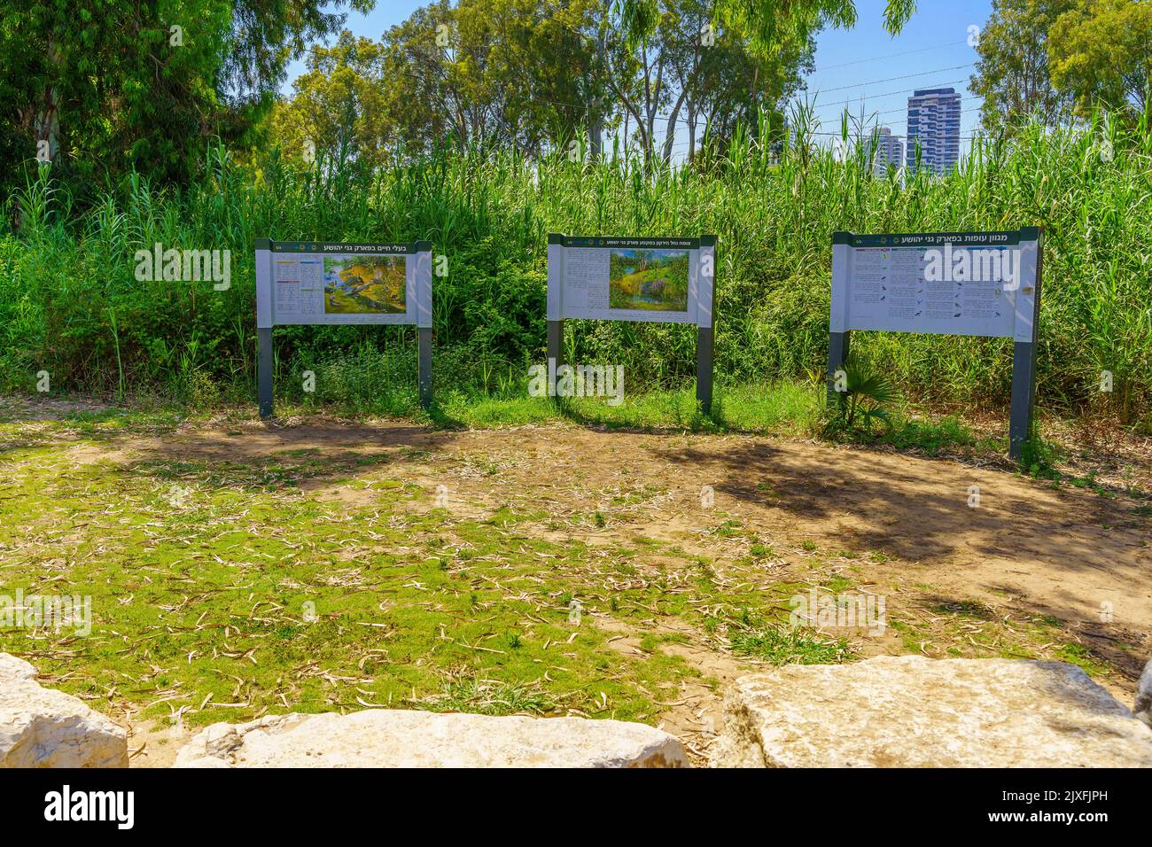 Tel-Aviv, Israele - 17 giugno 2022: Vista della natura spiegazione segni, nel Parco di Yarkon, Tel-Aviv, Israele Foto Stock