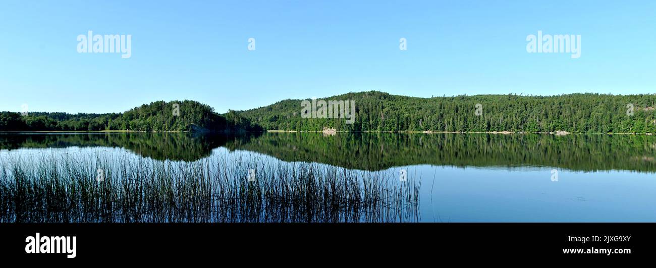 Vista panoramica del lago calmo e della foresta riflessione in acqua nelle giornate di sole Foto Stock