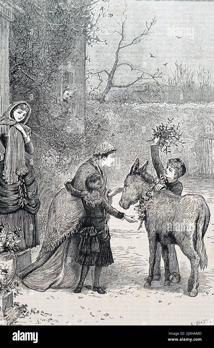 Illustrazione raffigurante l'agrifoglio e la mistletoe per Natale. Illustrato da Mary Ellen Edwards (1838-1934) un artista inglese. Datato 19th ° secolo Foto Stock