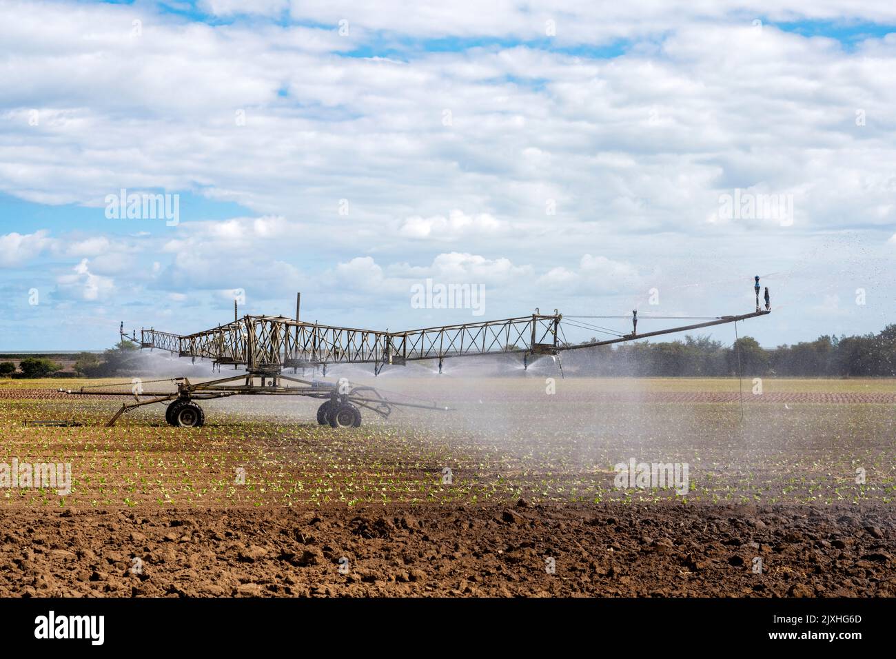 Briggs semovente per il sistema di irrigazione Foto Stock