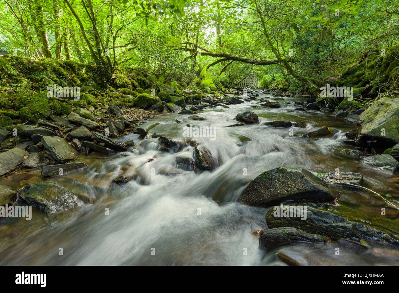 Il fiume Heddon accanto a Heale Wood in estate nel Parco Nazionale di Exmoor, North Devon, Inghilterra. Foto Stock