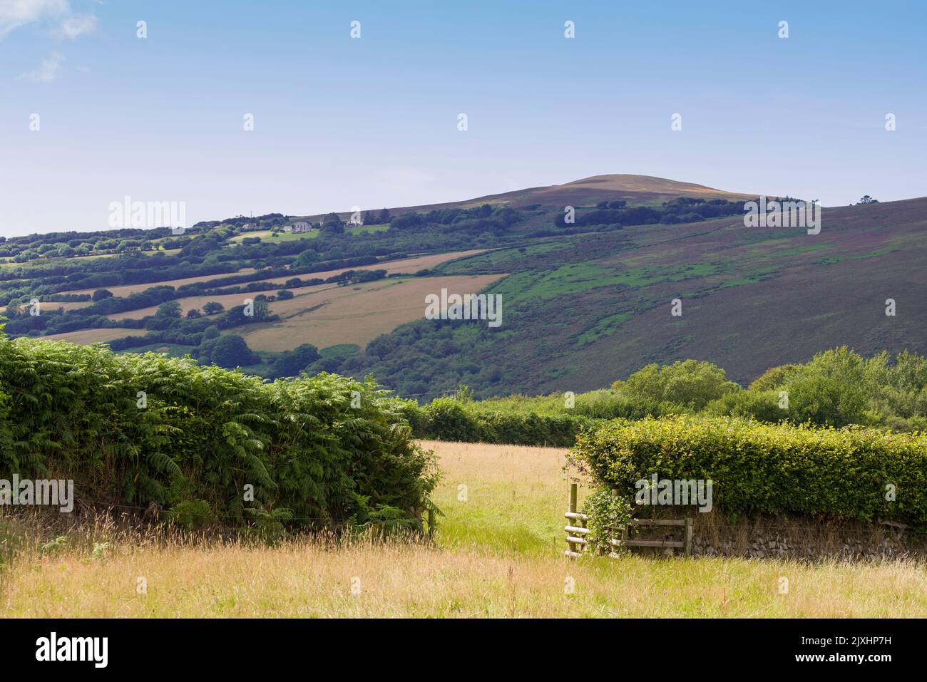 Holdstone giù in tarda estate da Heale giù nel parco nazionale di Exmoor, Devon del nord, Inghilterra. Foto Stock