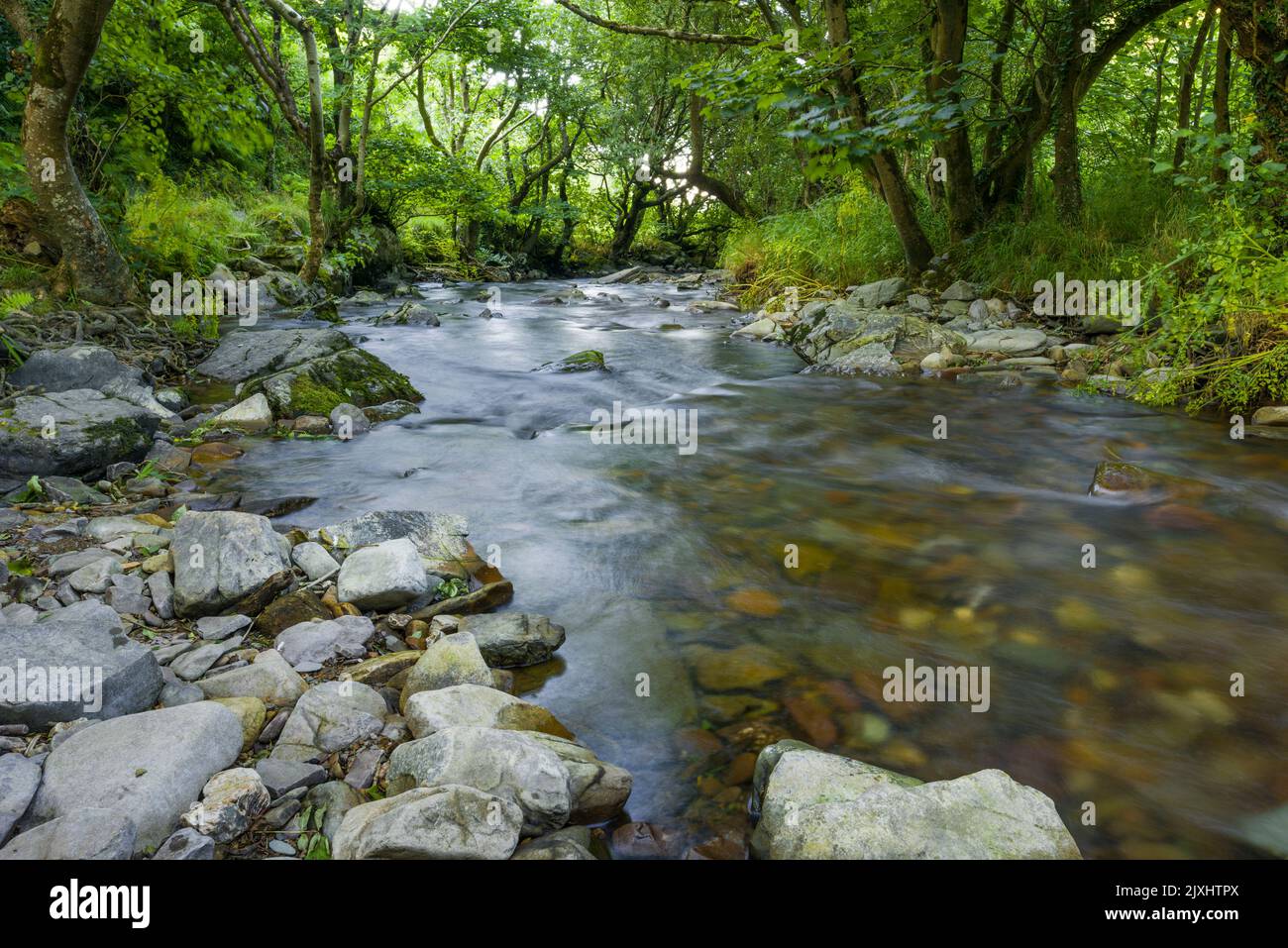 Il fiume Heddon in estate nel Parco Nazionale di Exmoor, North Devon, Inghilterra. Foto Stock