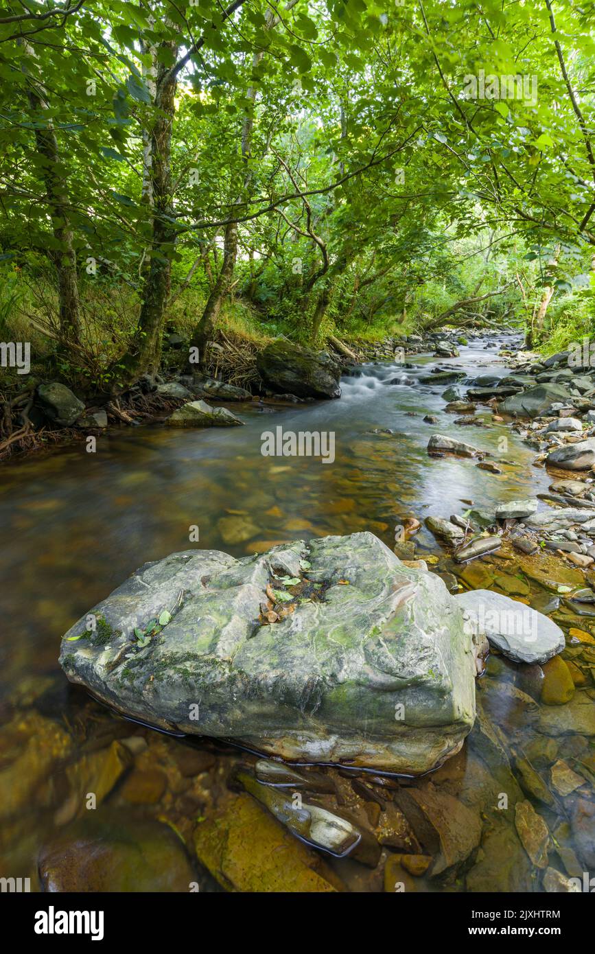 Il fiume Heddon in estate nel Parco Nazionale di Exmoor, North Devon, Inghilterra. Foto Stock