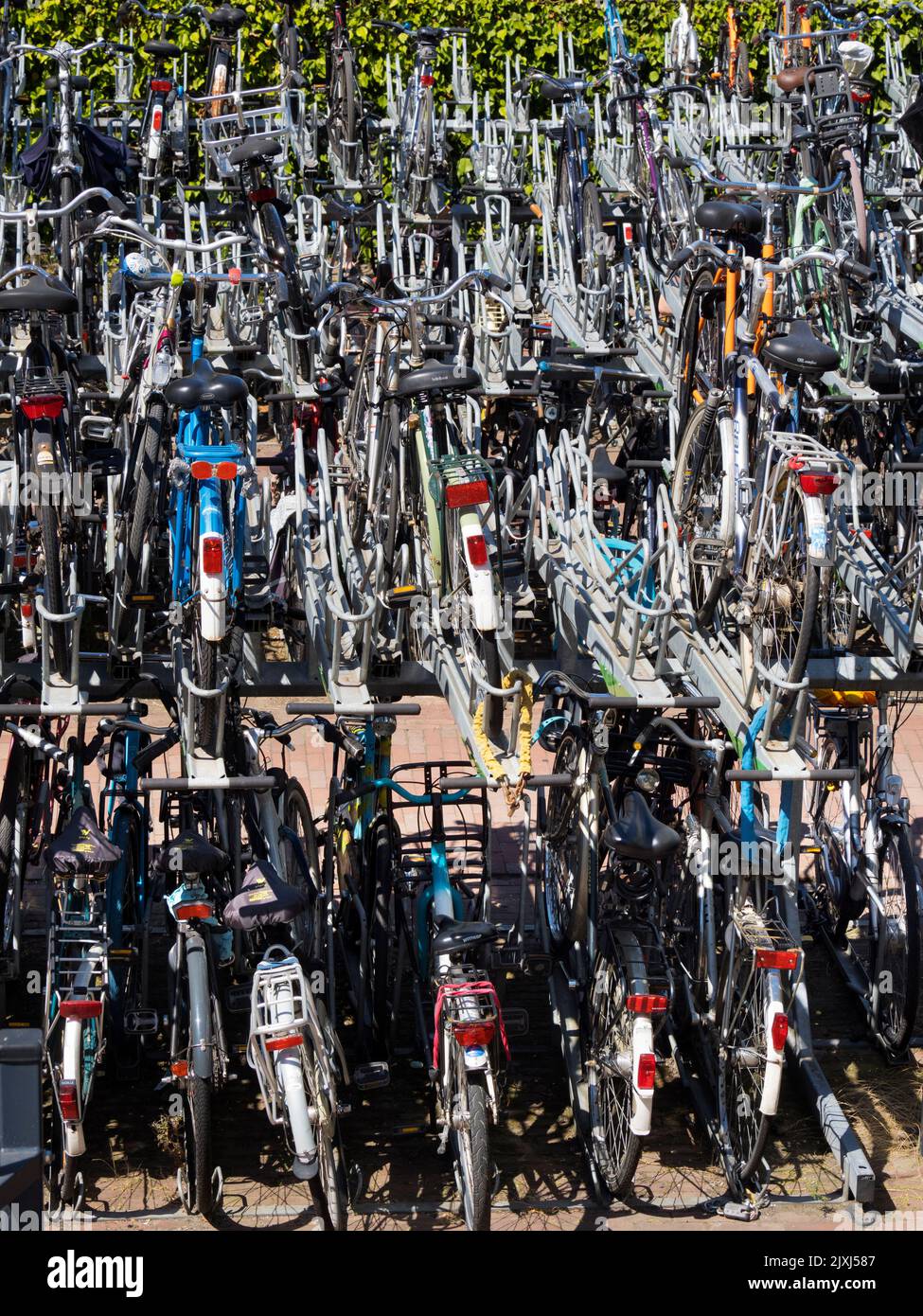 Una cultura della bicicletta prevale in tutti i Paesi Bassi. A Rotterdam, come in tutte le aree urbane del paese, le biciclette e i tram dominano. Ma a volte w Foto Stock