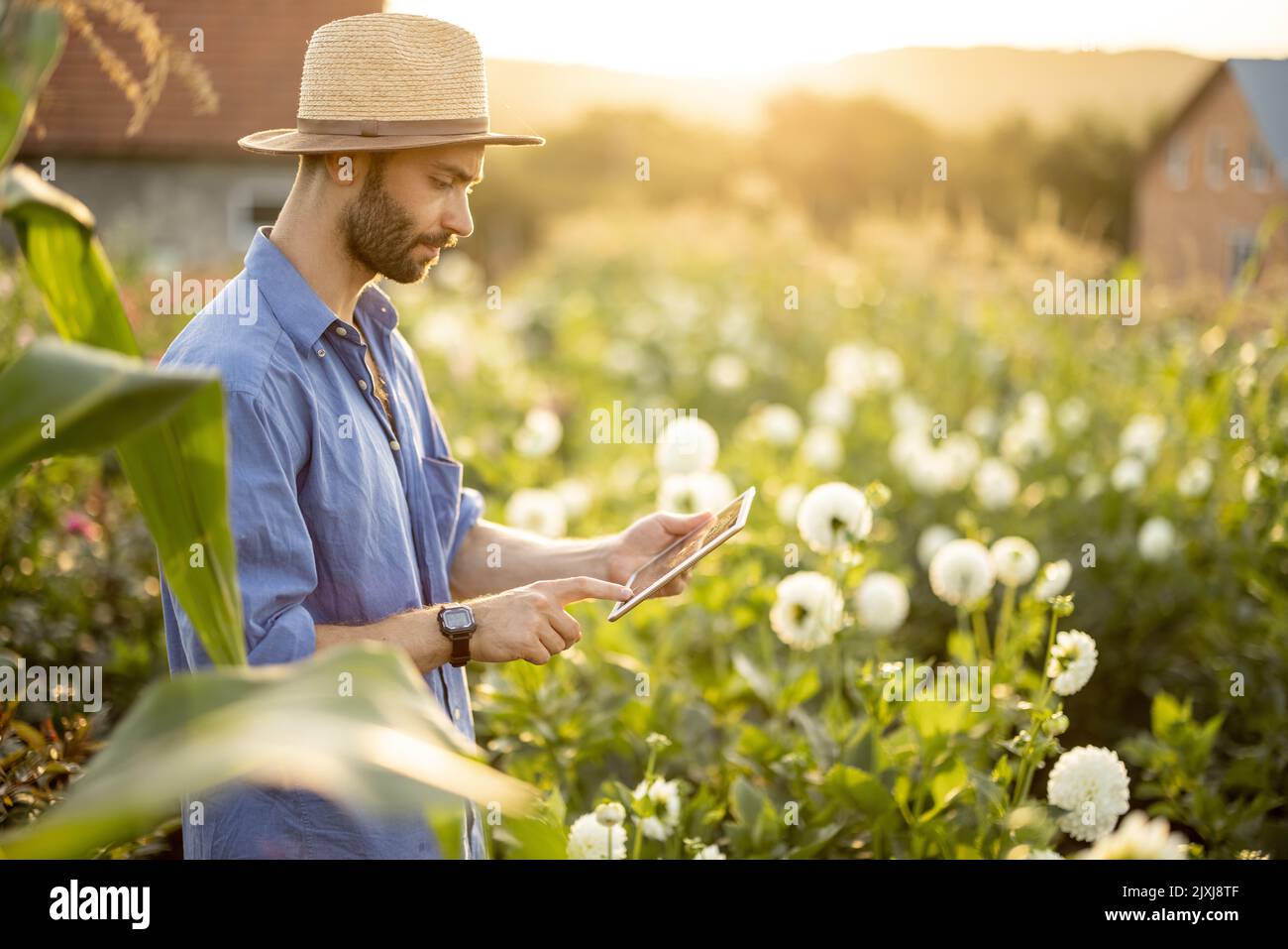 Donna con un tablet digitale su fattoria fiorita all'aperto Foto Stock