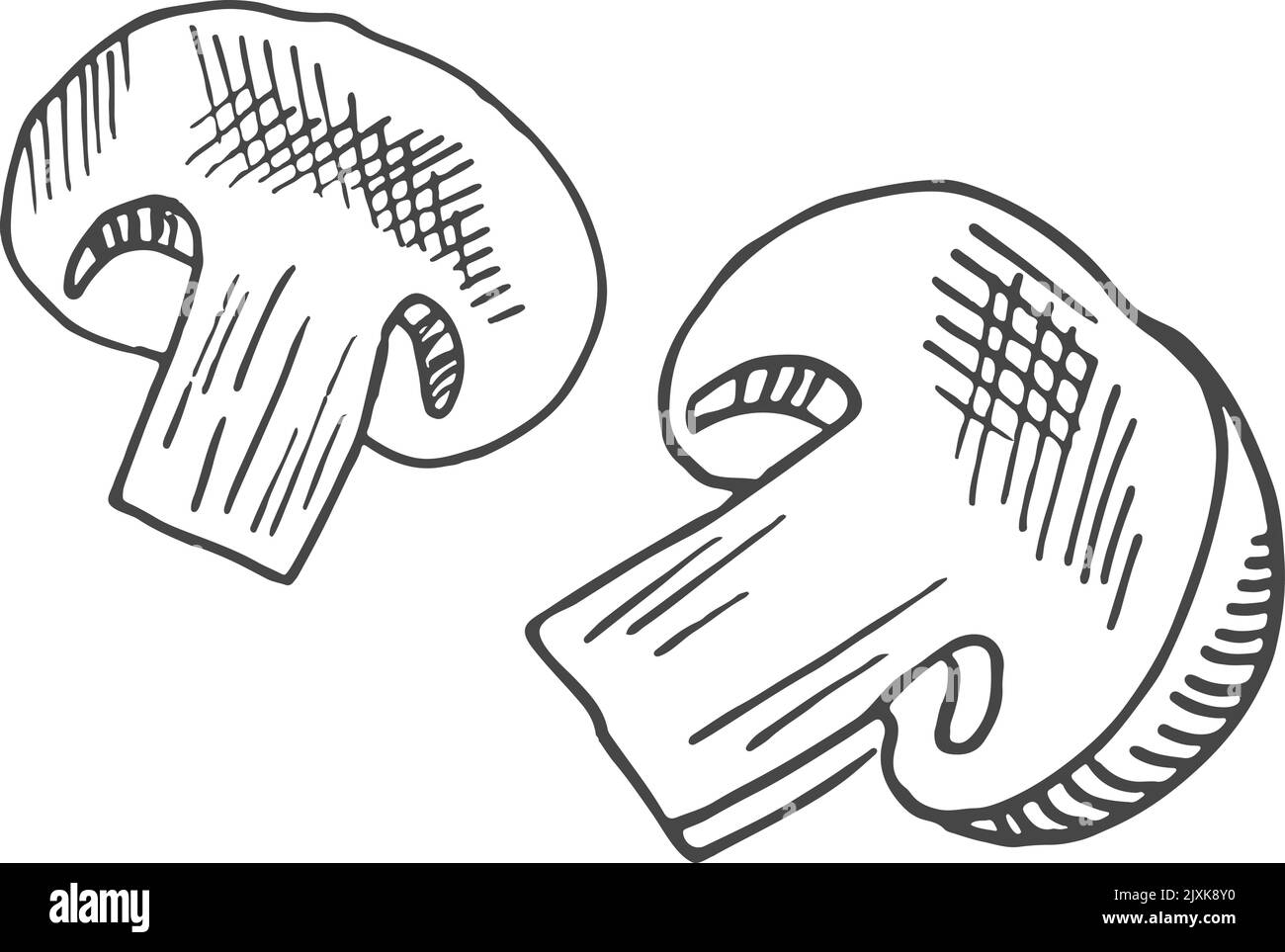 Incisione di funghi tagliati. Schizzo di ingredienti di cottura freschi Illustrazione Vettoriale