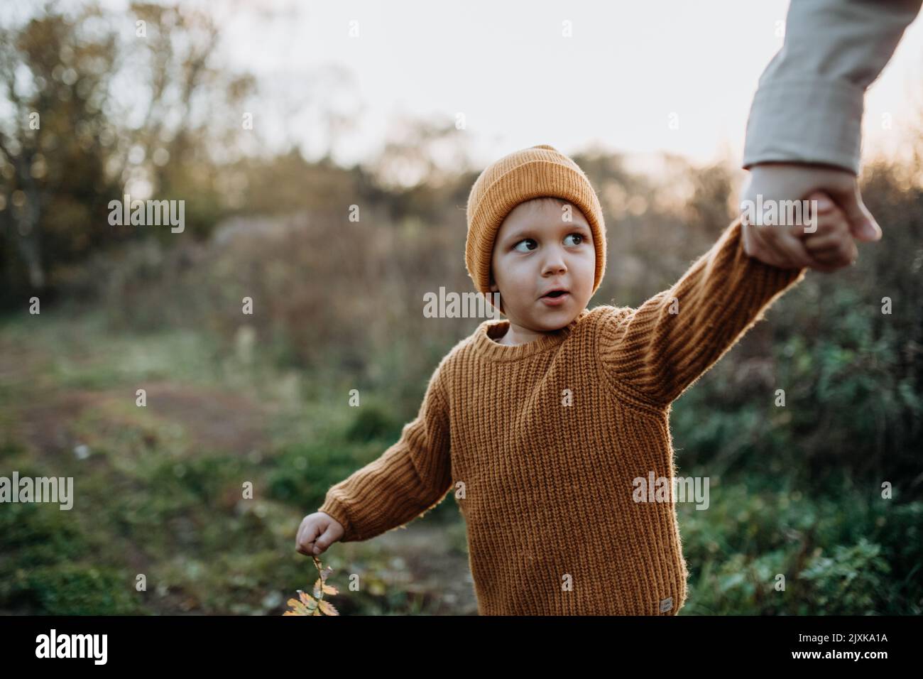 Ritratto di ragazzo carino con maglione a maglia in nautre, concetto autunnale. Foto Stock