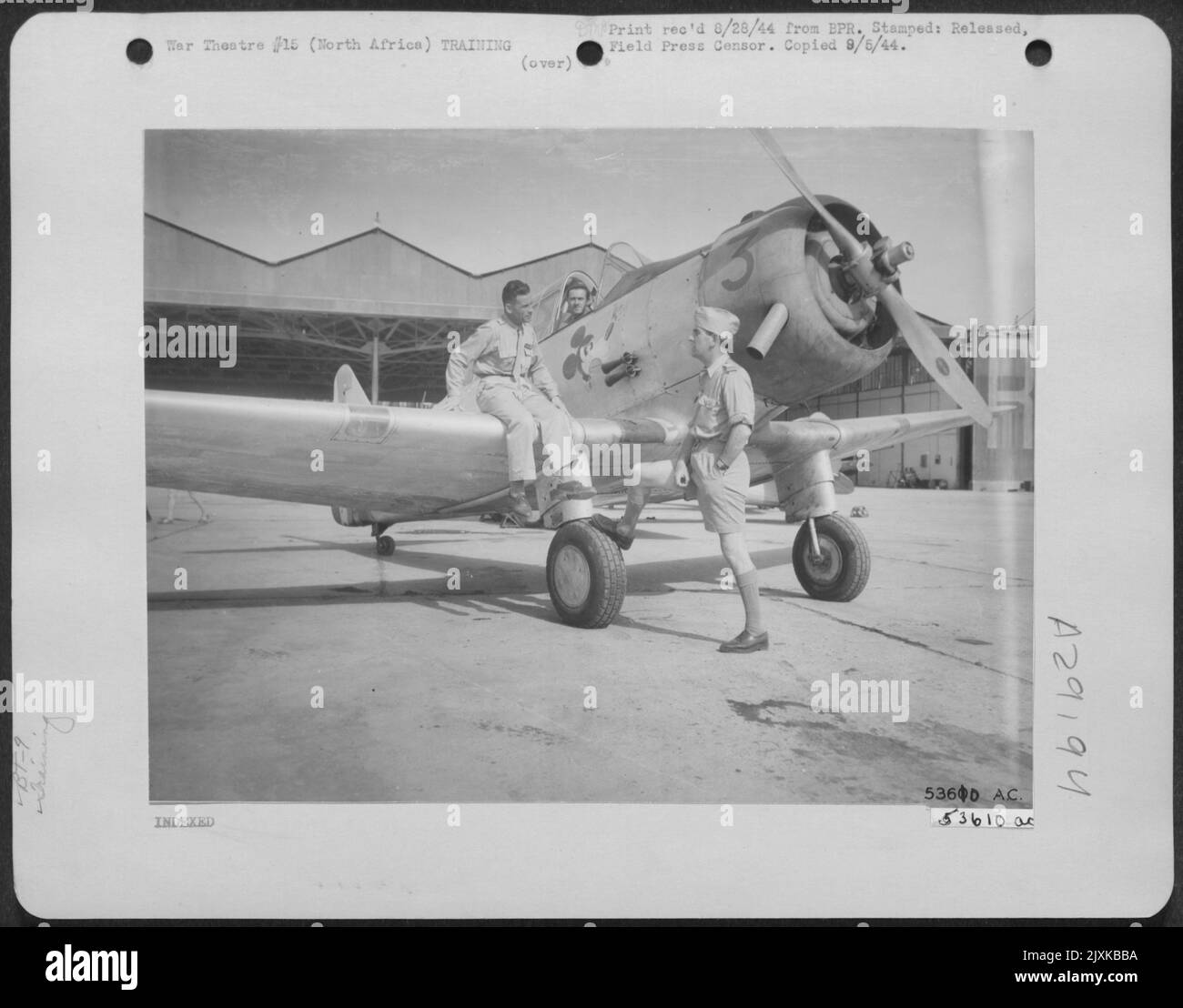I militari esperti ottengono tutta la loro formazione in Africa del Nord alle basi stabilite dell'aeronautica francese e dell'AAF. Gli allenatori di base, come questo che porta ancora le insegne di Topolino dell'ex squadrone di addestramento AAF negli Stati Uniti, sono utilizzati in extive Foto Stock