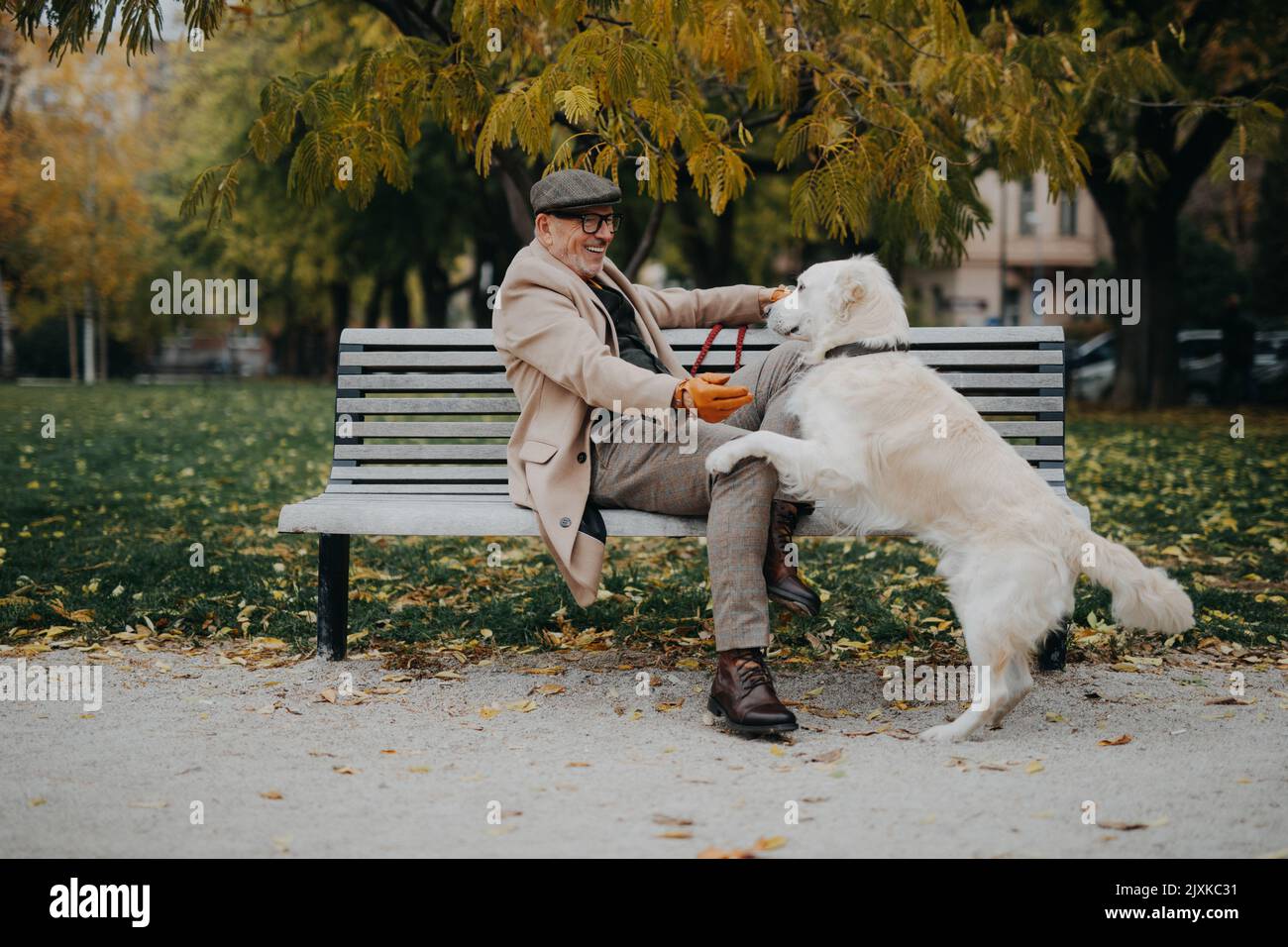 Uomo anziano felice seduto su panca e addestrando il suo cane all'aperto in città. Foto Stock