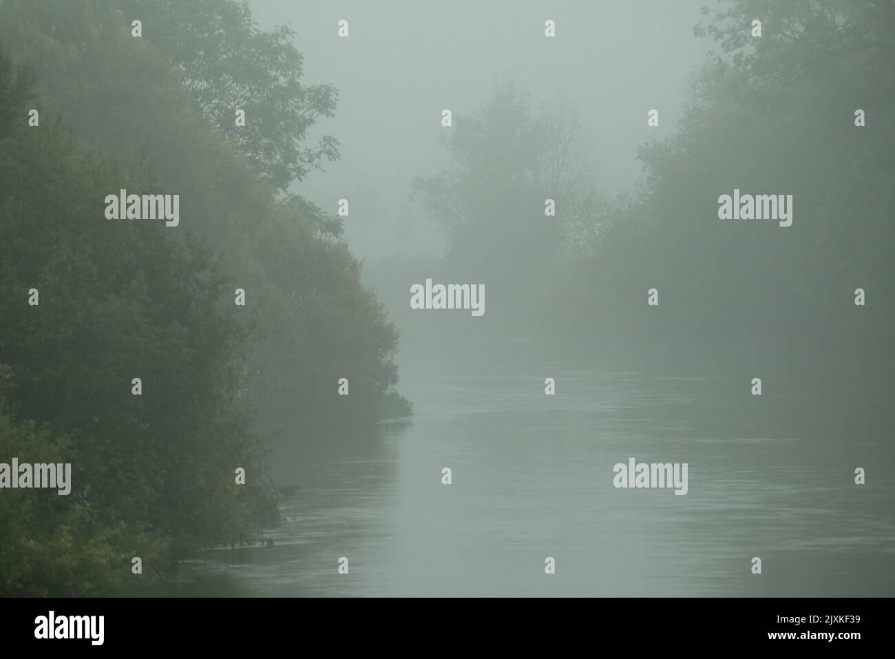 Sombre paesaggio autunno scena con fiume, nebbia, alberi grigi e verde scuro. Foto Stock
