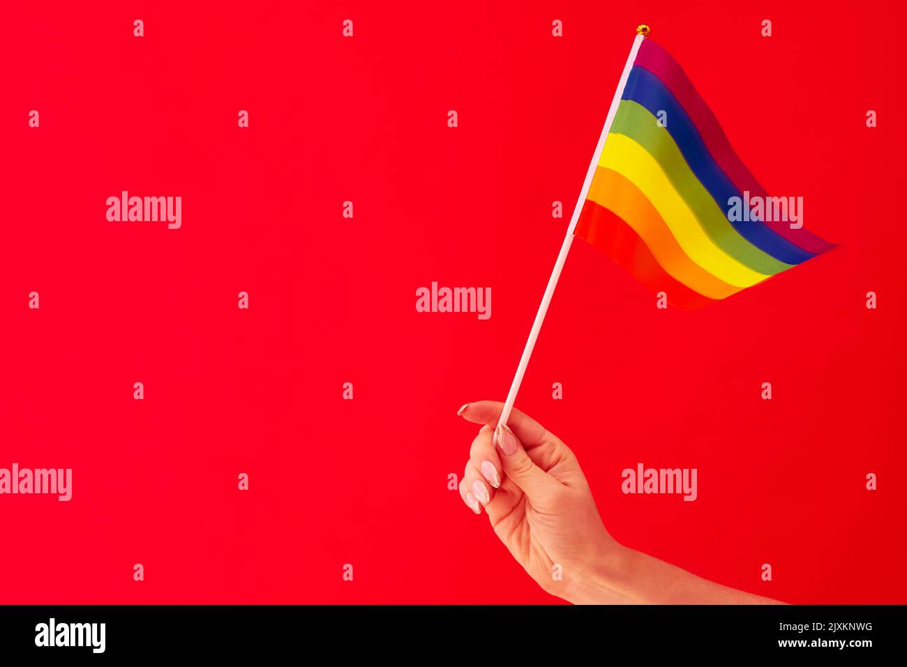 Primo piano Studio Shot di femmina Hand Holding LGBT Rainbow Flag contro sfondo rosso Foto Stock