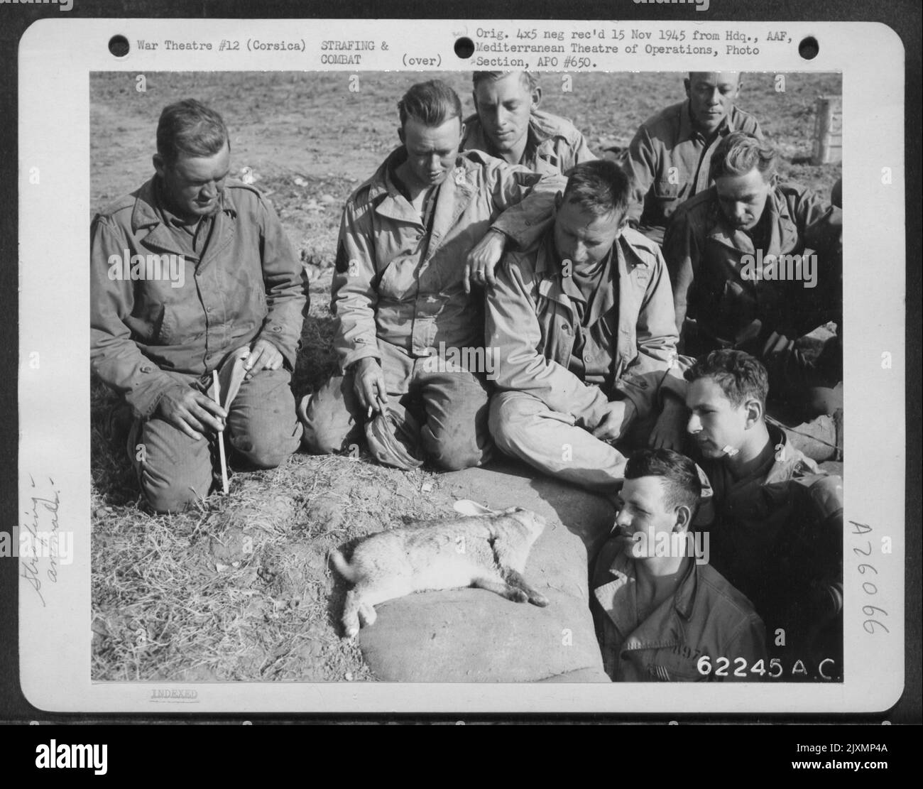 Anche l'Innocenzo ha sofferto -- gli uomini dell'equipaggio dell'aria guardano tristemente al coniglio ucciso durante Un attacco nazista su Un campo dell'aria corso. Foto Stock