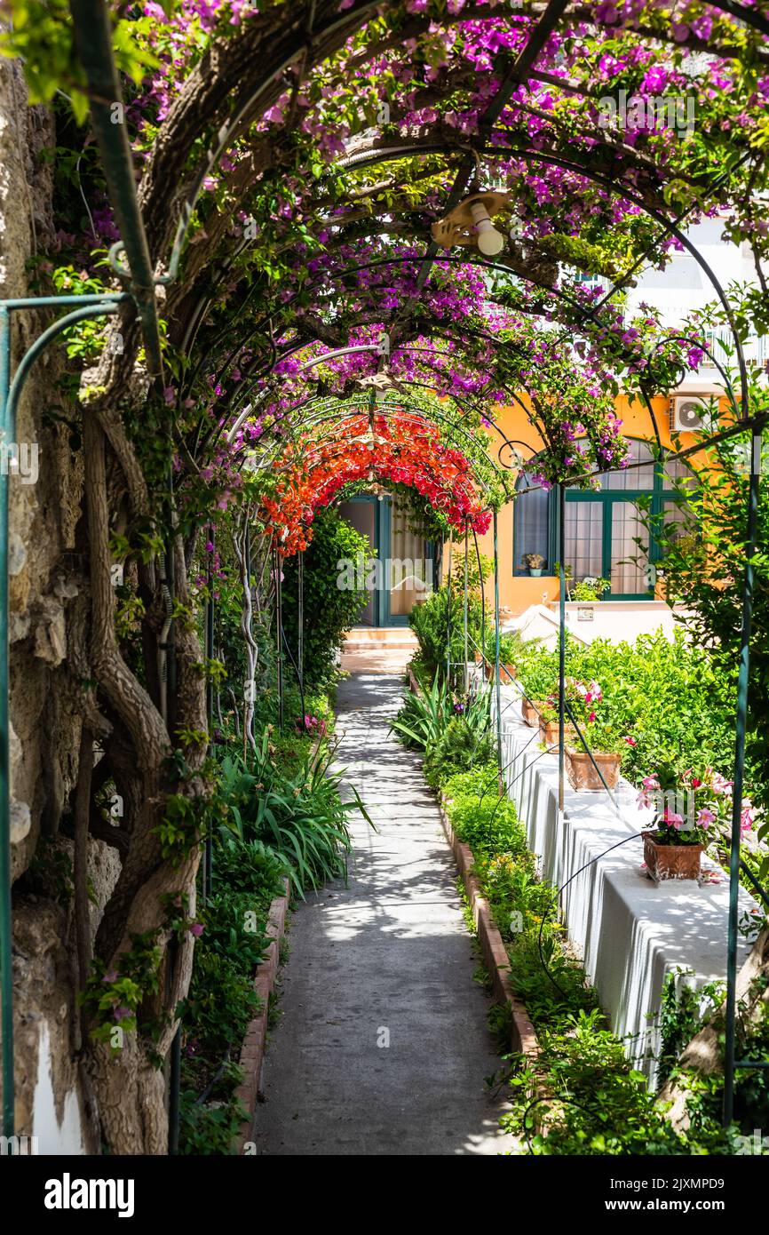 Un arco di fiori che cresce su un marciapiede a Positano, Italia, Europa. Foto Stock
