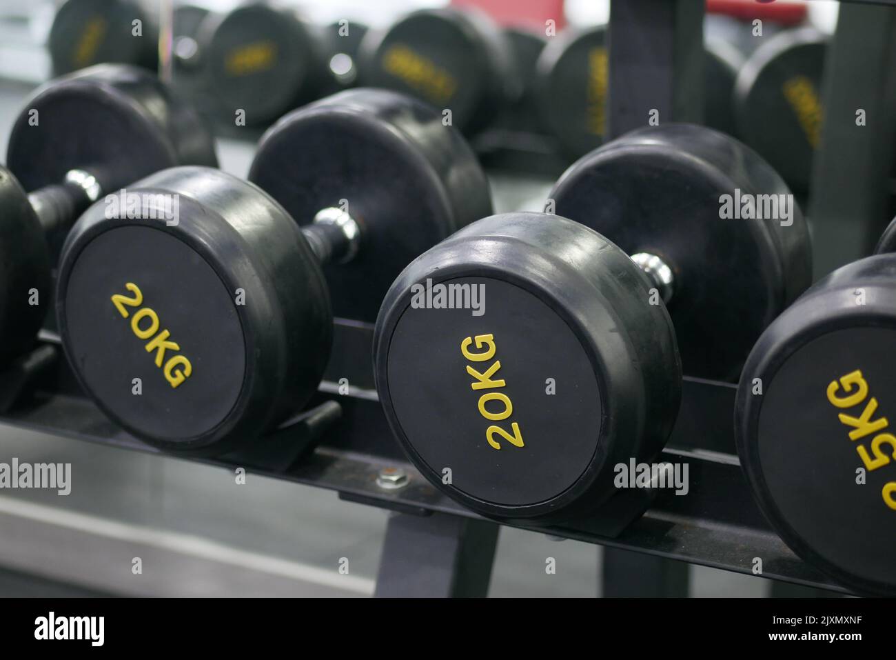 File di manubri di colore nero con numeri in palestra Foto Stock