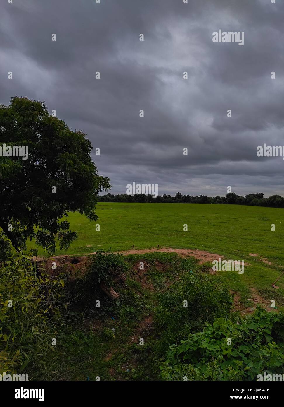 A Beautiful Shot of Indian Village Farm natura bellezza sfondo HD foto Foto Stock