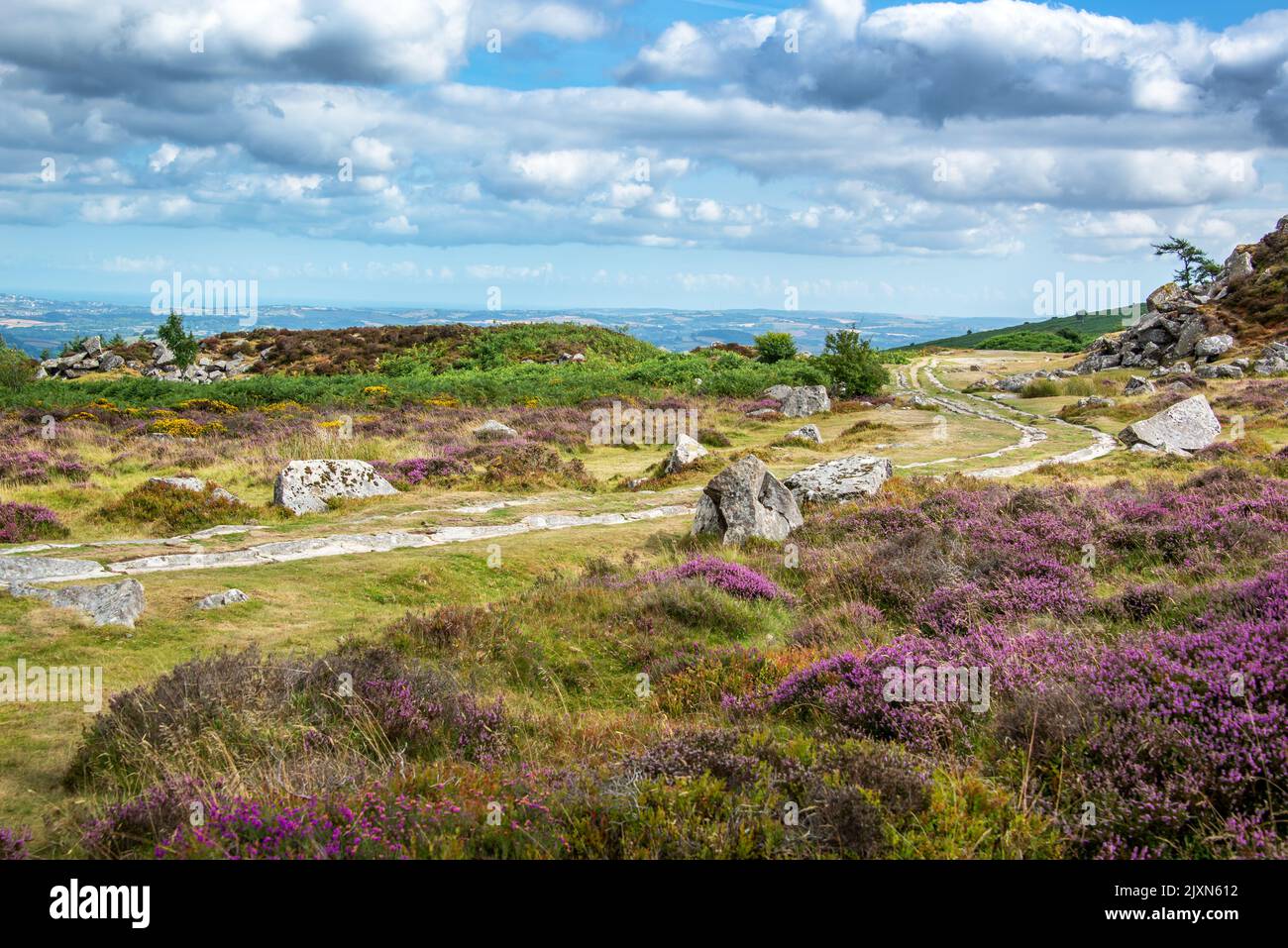 Haytor Granite Tramway vecchie tracce a Dartmoor, Devon, Regno Unito Foto Stock