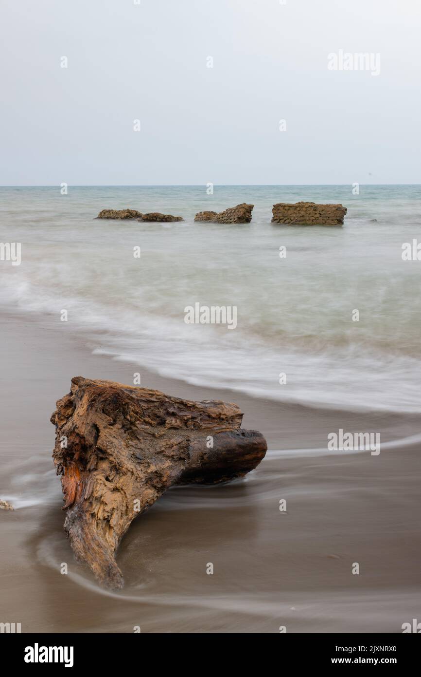 legno in spiaggia durante una giornata nuvolosa Foto Stock